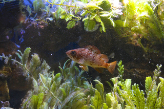 IMG_4492.jpg