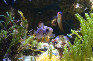IMG_4583.jpg