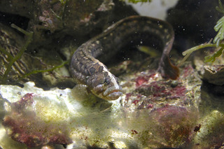 IMG_5187.jpg
