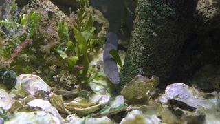 IMG_5681.jpg