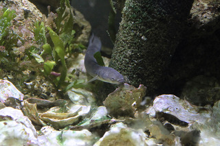 IMG_5682.jpg