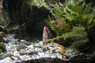 IMG_5803.jpg
