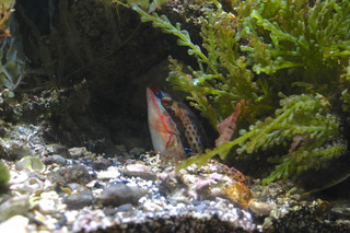 IMG_5804.jpg