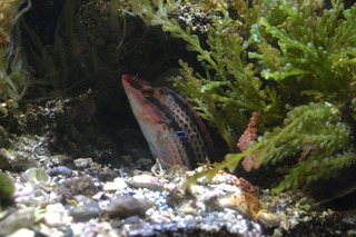 IMG_5805.jpg