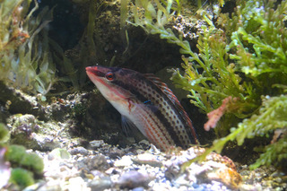 IMG_5806.jpg