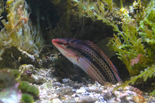 IMG_5807.jpg