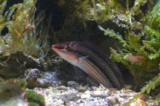IMG_5808.jpg