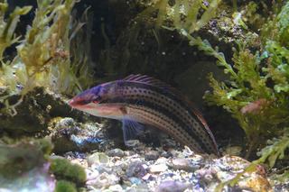 IMG_5809.jpg