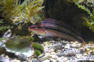 IMG_5810.jpg