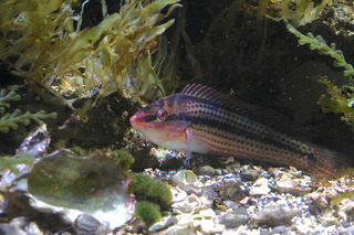 IMG_5811.jpg