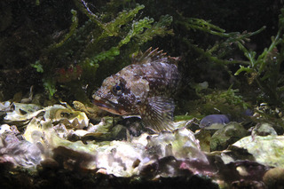 IMG_5937.jpg