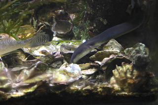 IMG_5950.jpg