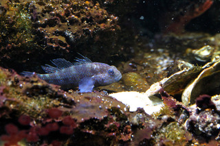 IMG_6869.jpg