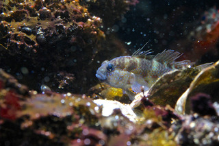 IMG_6873.jpg