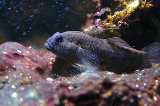 IMG_6975.jpg