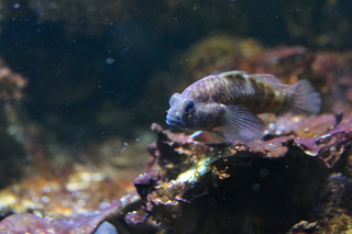 IMG_6979.jpg