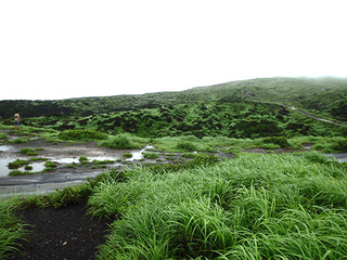 P8040010.jpg