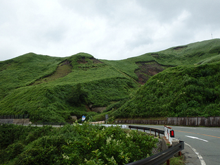 P8050076.jpg