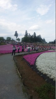 SH3J0466.jpg