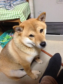 image (1).jpeg