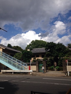 image4.jpg