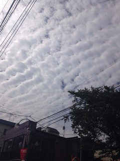image8.jpg
