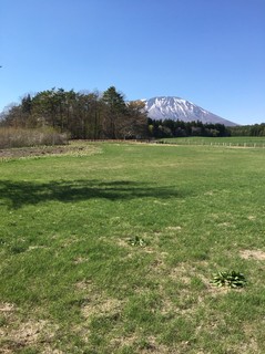 line_106028884987571.jpg