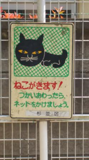 neko.png